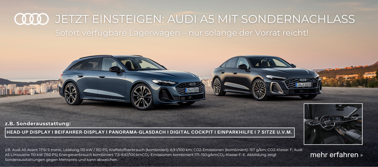 Audi Lageraktion