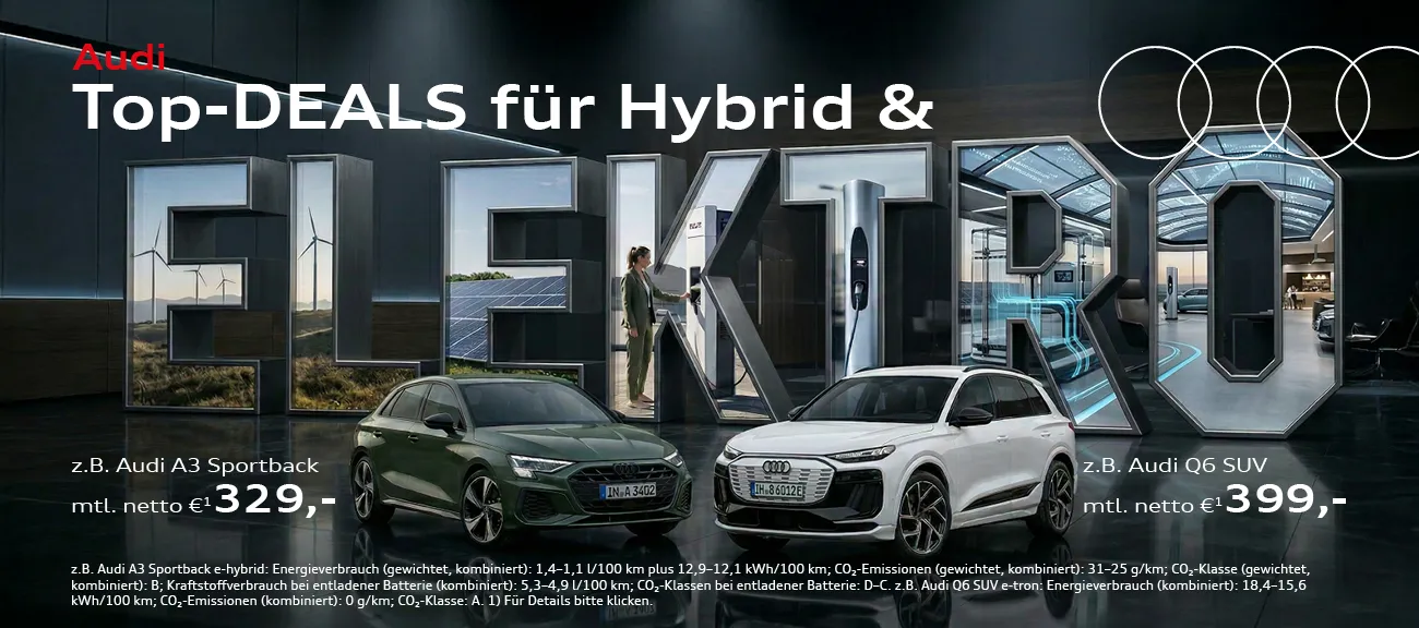 Audi Elektro & Hybrid Gewerbeangebote
