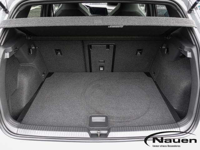 Golf R-Line Pano,Harman Kardon,ACC,MATRIX