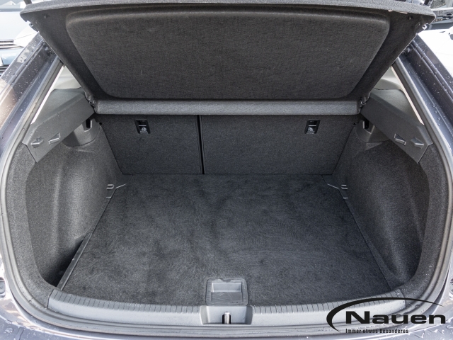 Taigo Goal 1.0 TSI *ACC*LED*SHZ*CLIMATR.*