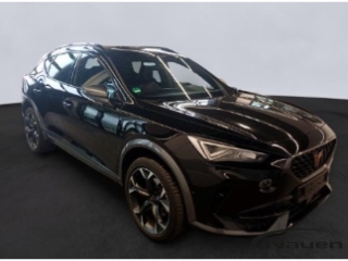 Formentor DSG *FULL LINK*ALLWETTER*SHZ*LED*LM 19*PDC VO.+HI.*