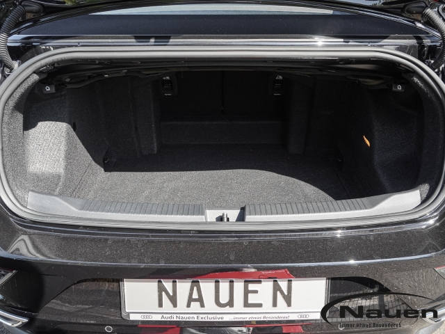 T-Roc Cabriolet DSG R-Line *LEDER RAUTE*NAVI*LED*CLIMATRONIC*