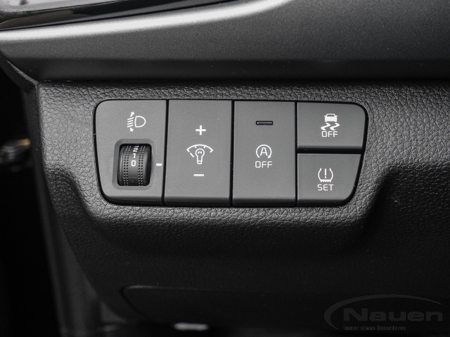 Rio 1.2 Vision *NAVI*LED*SHZ*PDC*