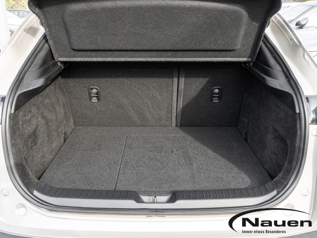 CX-30 2.0 Homura *PREMIUM-PAKET*BOSE*NAVI*SHZ*LED*