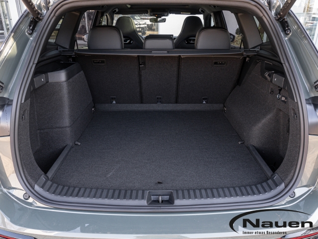 Tayron R-Line 1.5 l TSI eHybrid 110/85 kW 6-Gang DSG *AHK*LED*PANO*APP-CONNECT