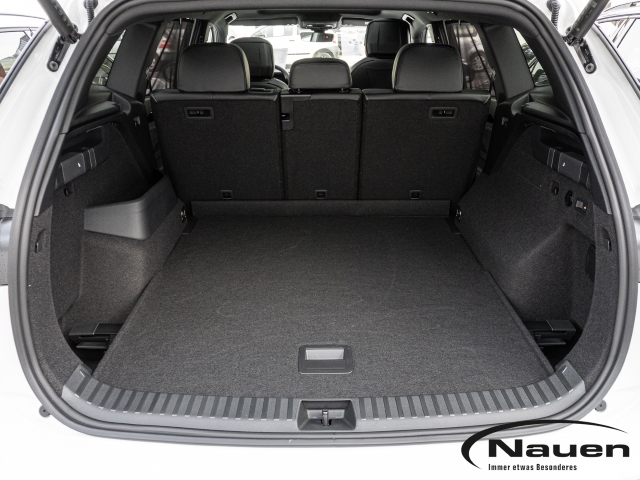 Tayron R-Line 2,0 TDI 4Motion 142 kW 7-Gang DSG  * Rate 599 *