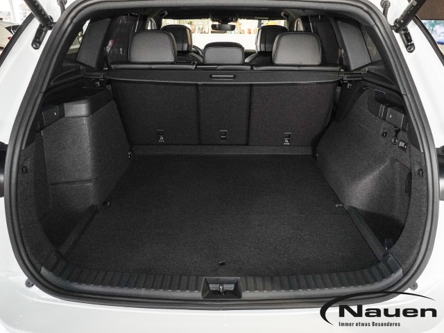 Tayron 1.5 TSI eHybrid 150 kW R-Line AHK Panoramadach