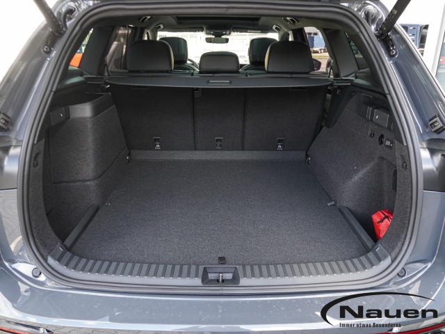 Tayron 1.5 TSI eHybrid R-Line Leder AHK Panoramadach