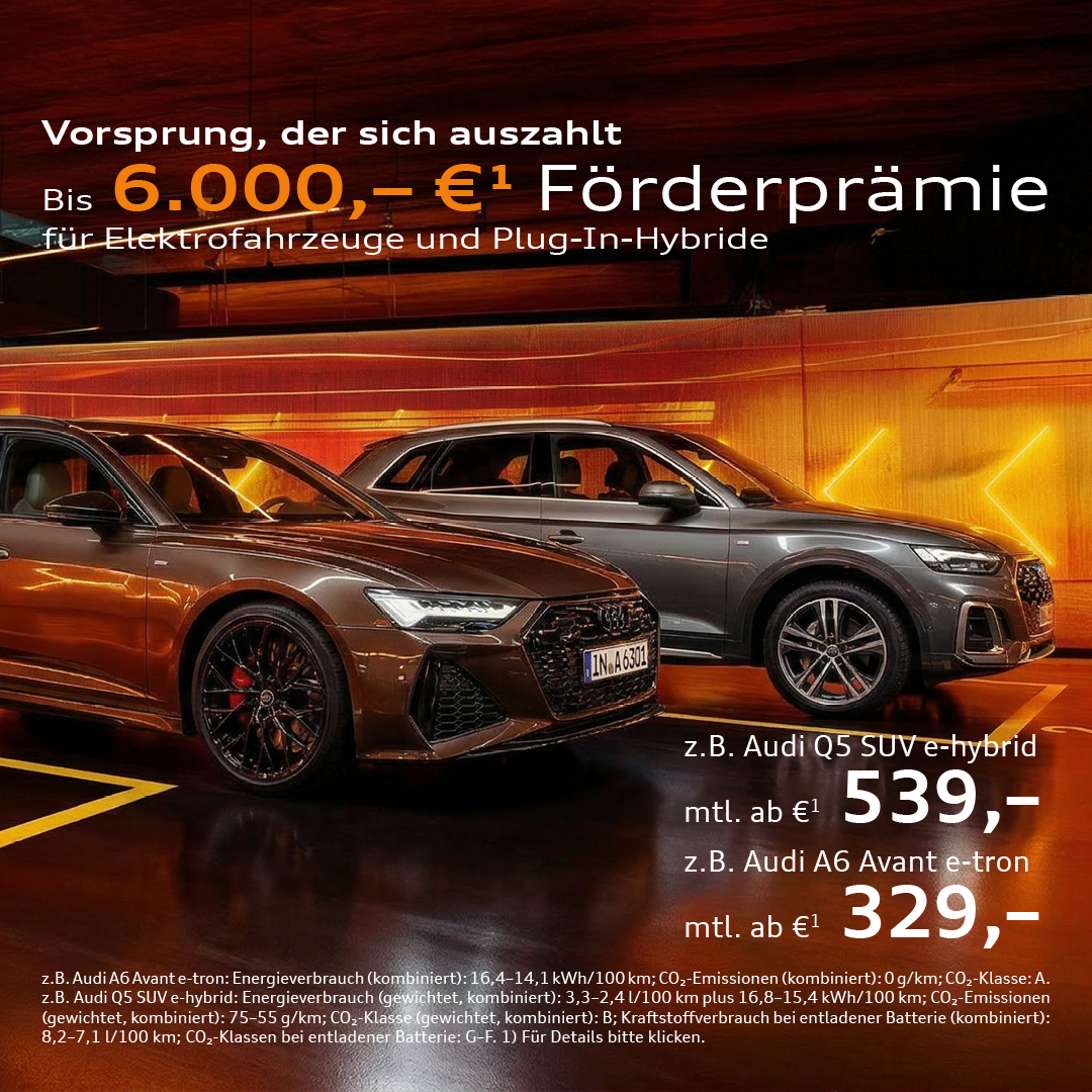 Beitrag-E-Foerderung