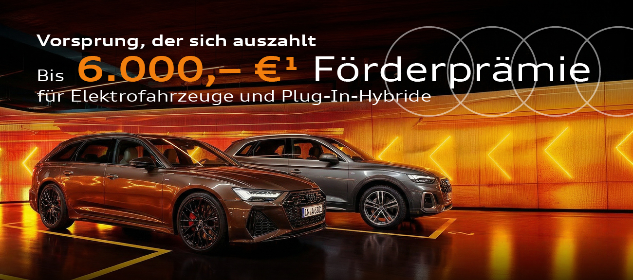 Header-Desktop-E-Foerderung