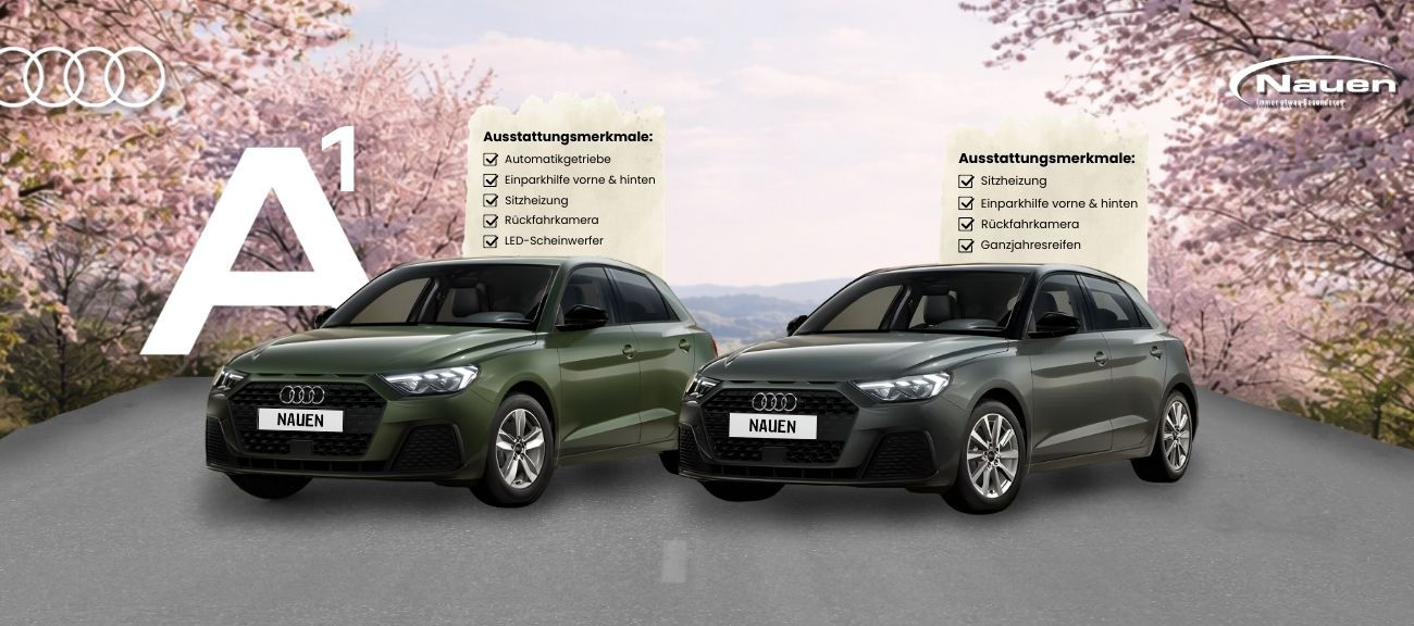 Audi A1 für Privatkunden