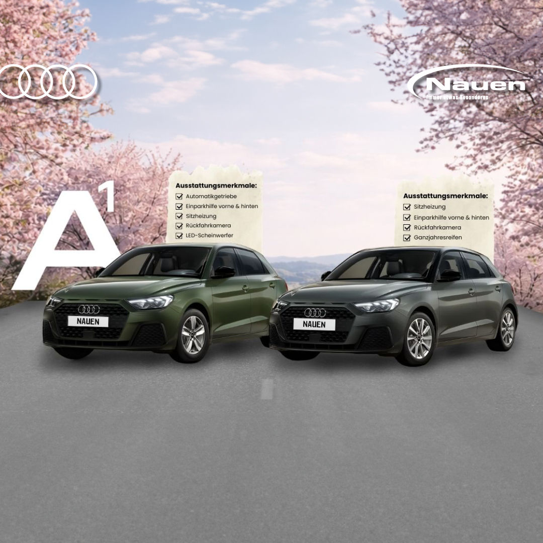 Audi A1 für Privatkunden