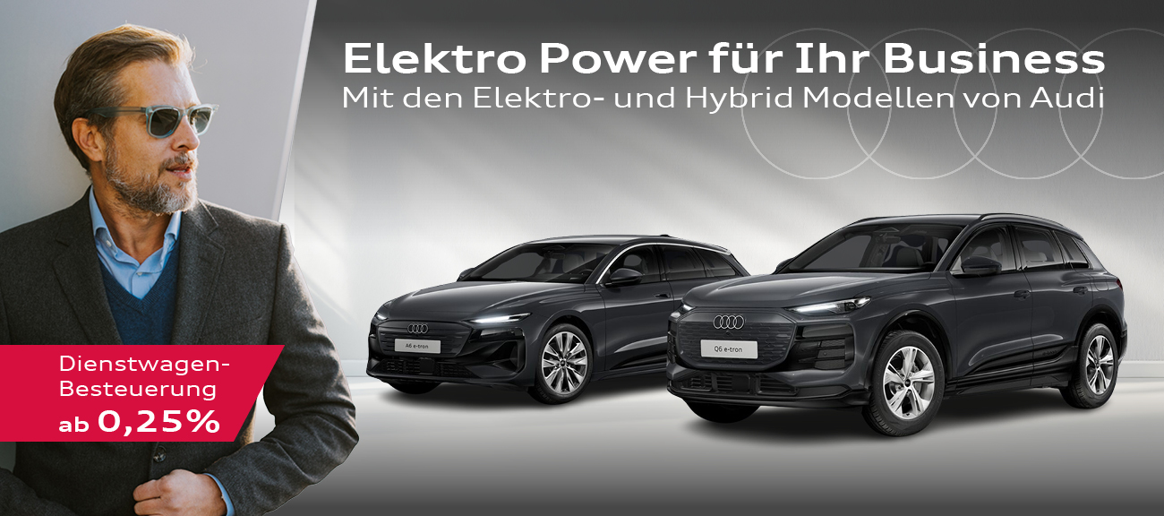 Header-desktop-Audi-e-Aktion-Business
