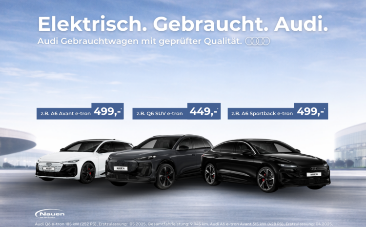  Audi e-tron Gebrauchtwagen